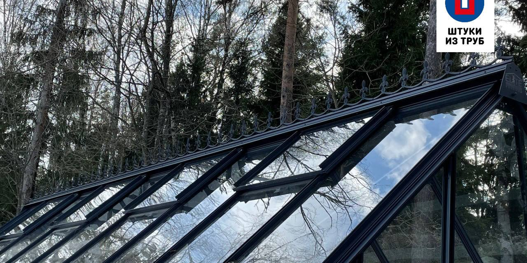 Белокрылка против кефира. Советы агронома, как бороться с белокрылкой