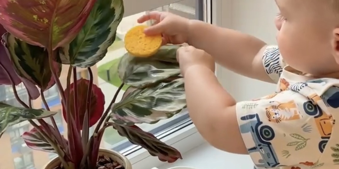 Развитие самостоятельности у ребёнка: бытовые навыки в 1–2 года