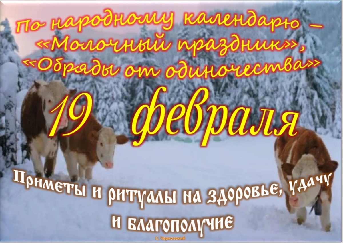 Встречаем новый день