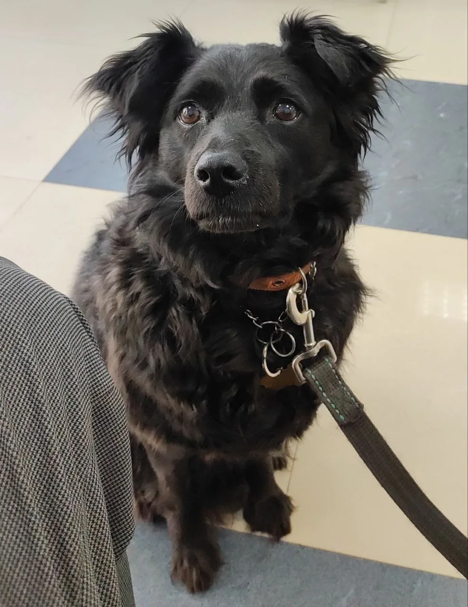 Сегодня немножко мимических морщинок буду добавлять вам Я