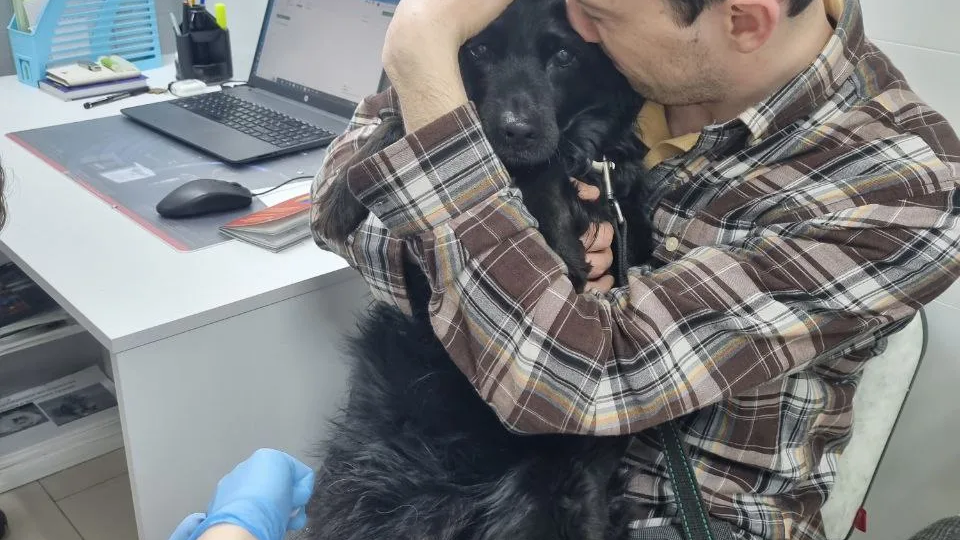 Семь лет прошло с тех пор, как мы пристроили этого важного пёсика в семью. Долгожданный привет