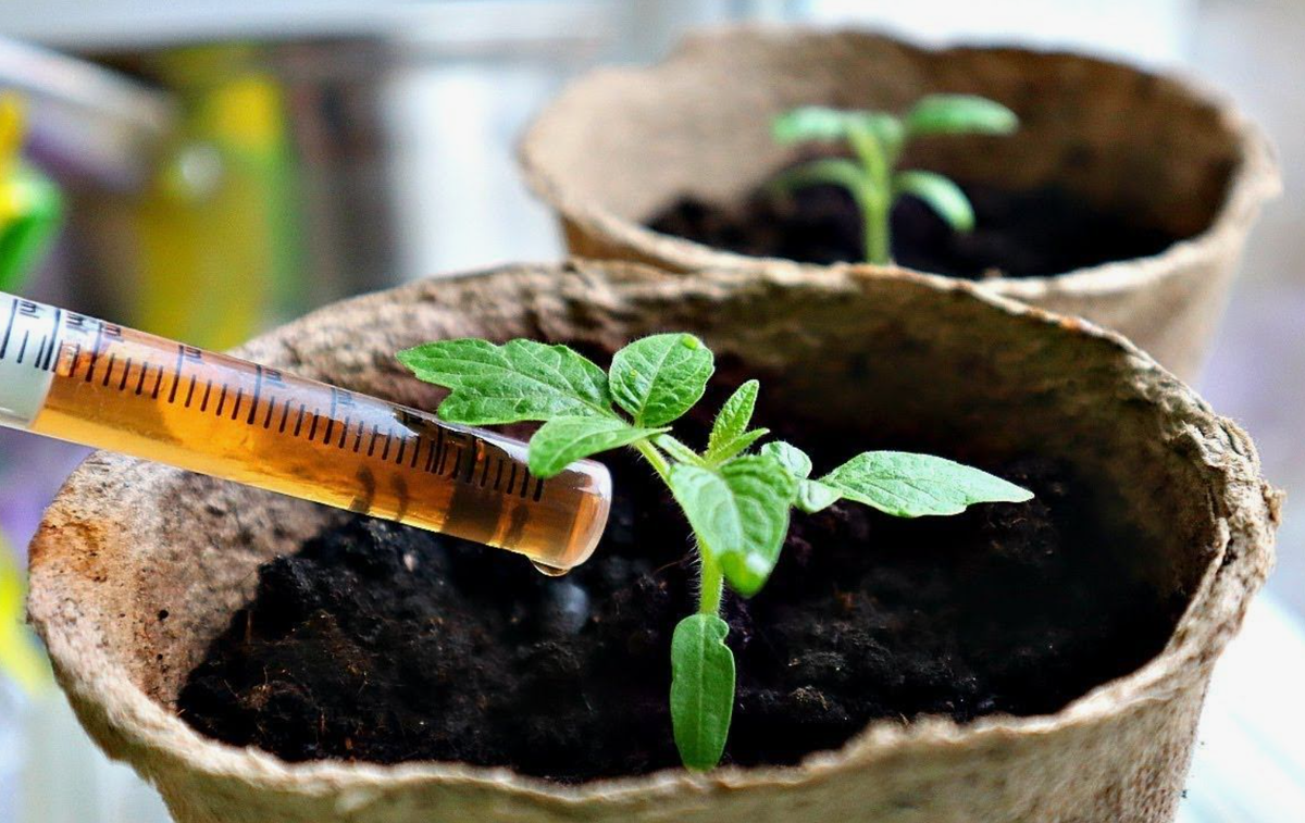 Источник фото: rutube.ru