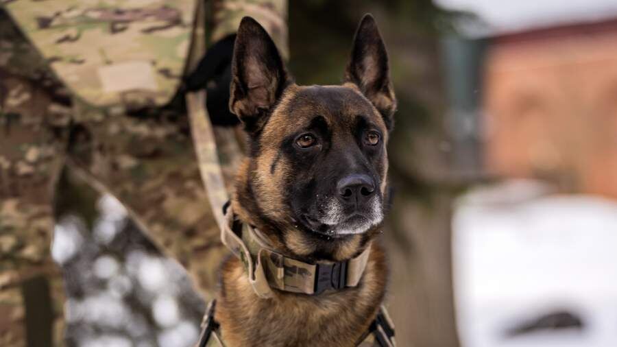    Фото: компания «БПР Ярл»