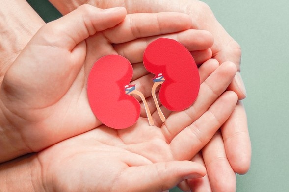    Shutterstock/FOTODOM