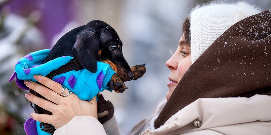    Фото: портал мэра и правительства Москвы/Максим Денисов