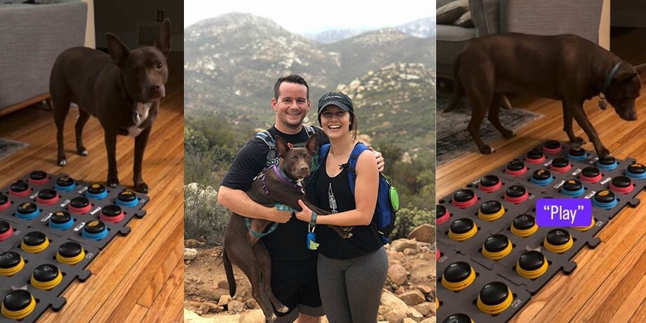    Фото: instagram.com (принадлежит Meta, признана экстремистской и запрещена на территории РФ)/hunger4words