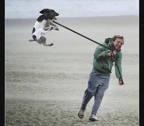 Сегодня, примерно, такая погода