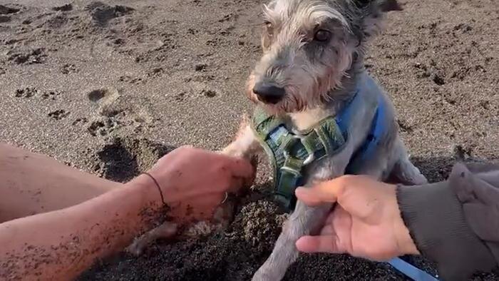 Обложка © Telegram / BAZA