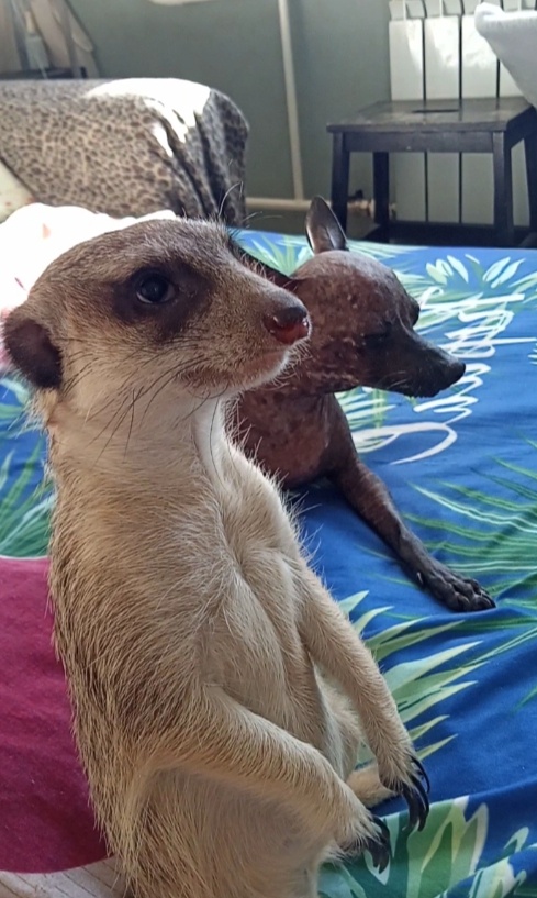 Сева и Ляля