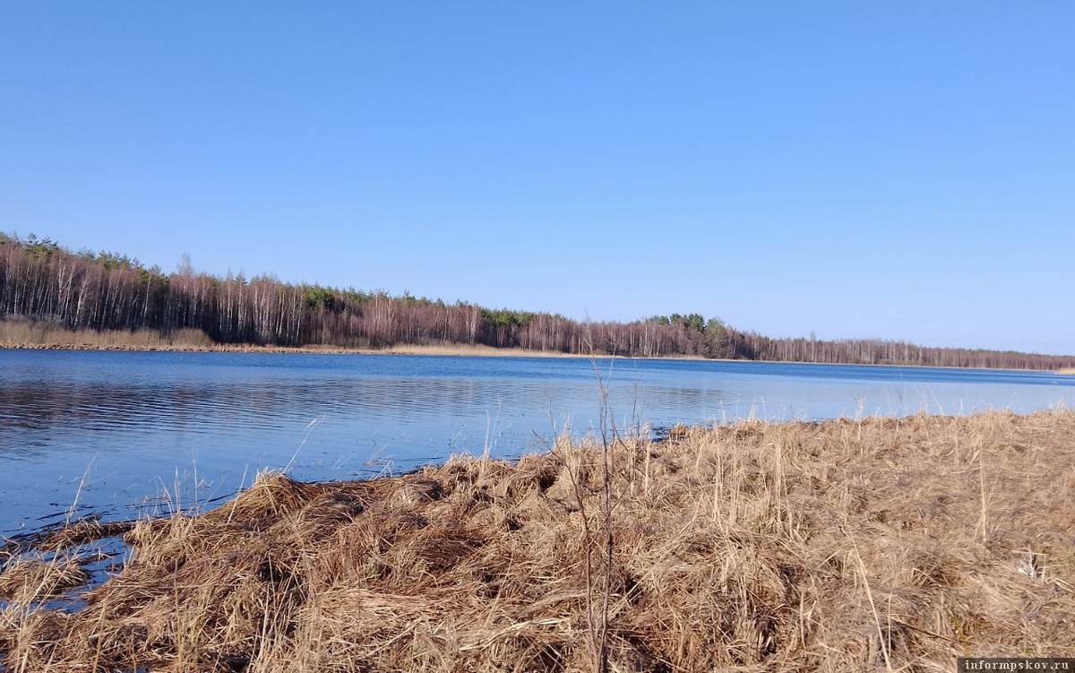 Желча красивая и очень рыбная река