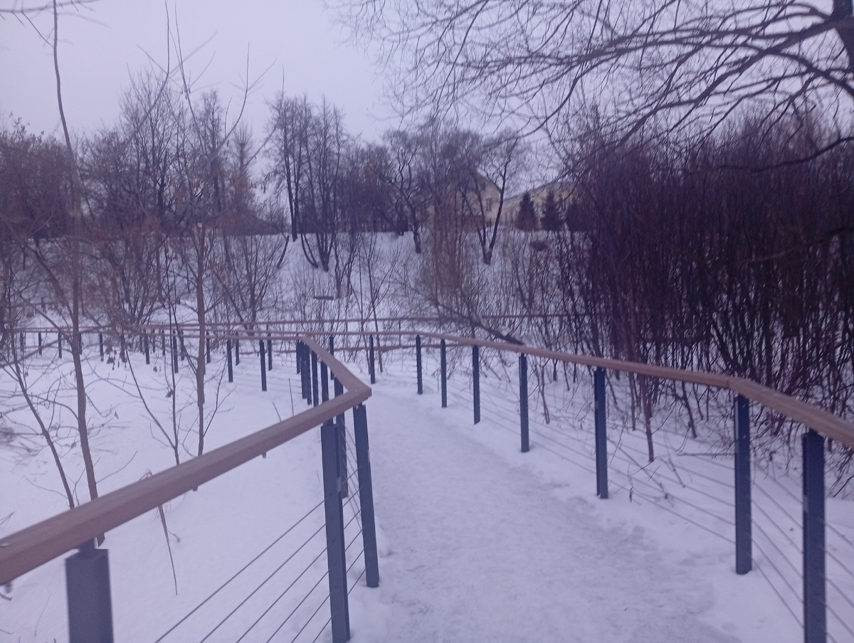 А это парк Свиблово. Потому что футболку я пока не забрала:)