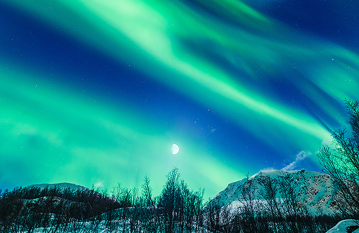    wirestock/freepik.com