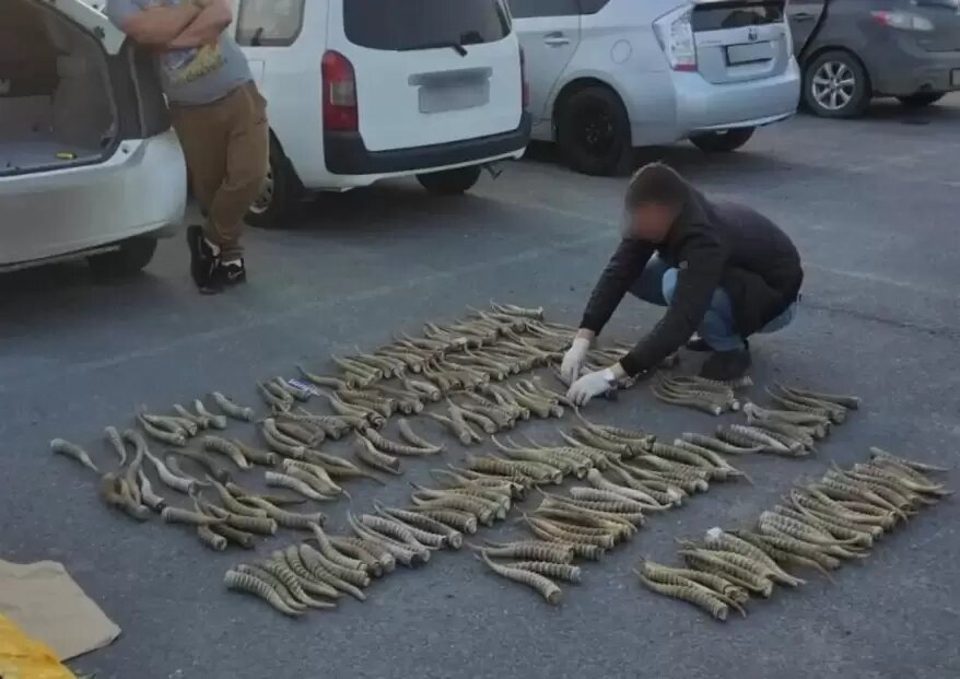    Источник фото: