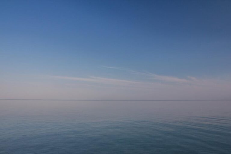    Фото: wiki commons/Dimatrofimchuk/CC BY-SA 4.0 Анастасия Мишкина