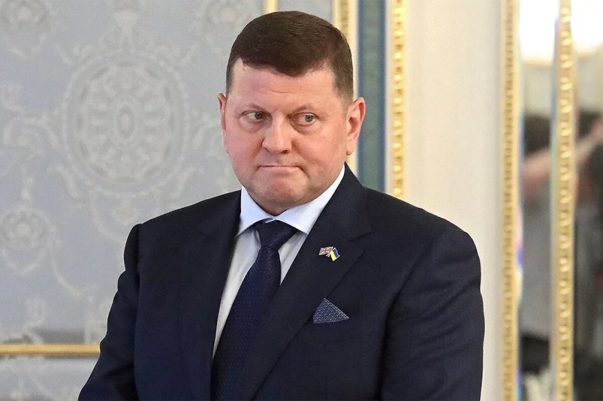    Экс-главкома назвали «главным политическим врагом Зеленского».