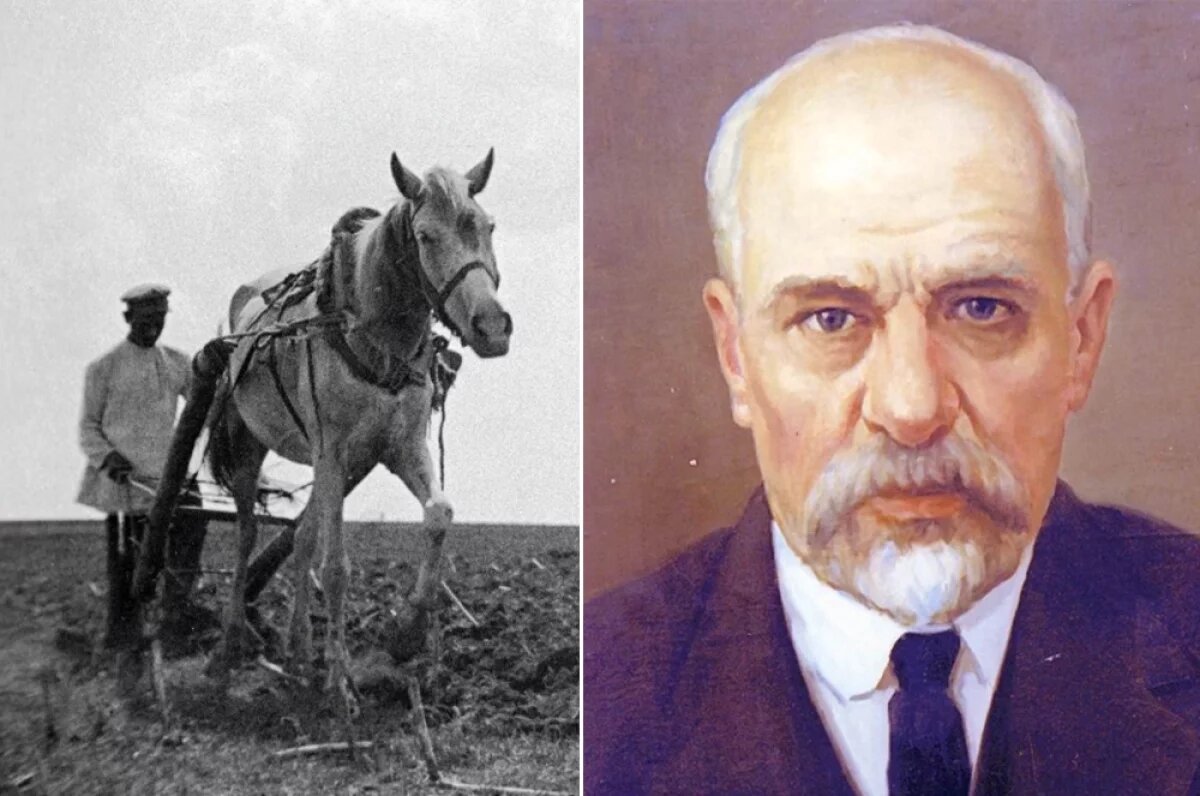    Учёный был поражён тем, что и в России, и в Европе к началу XX века землю пахали примерно так же, как за тысячелетия до этого.