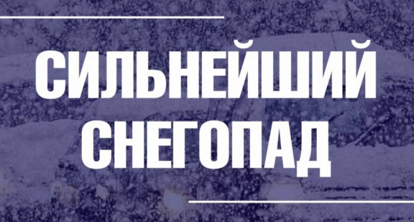    Фото: администрация Владимира