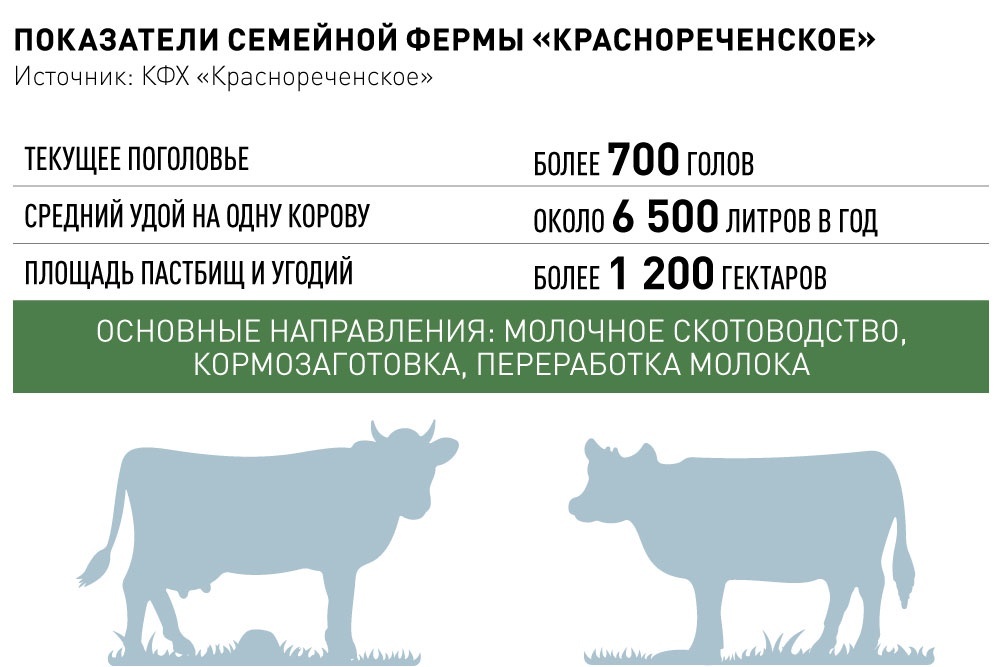    Инфографика "РГ" / Рафаэль Зарипов