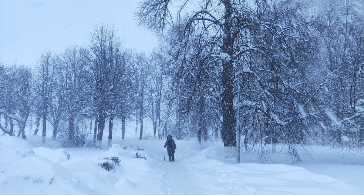    Фото: ПроГород