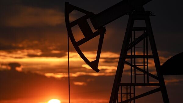    © РИА Новости . Максим Богодвид