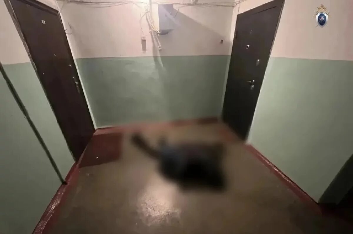    За двойное убийство в Комсомольске‑на‑Амуре задержан 61-летний мужчина