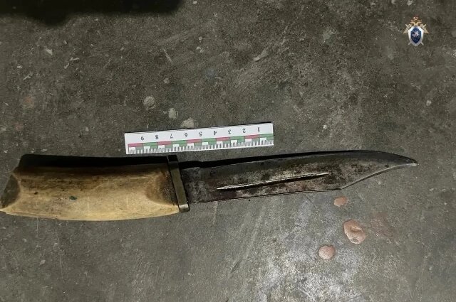    Фото: Max-канал Хабаровский следком