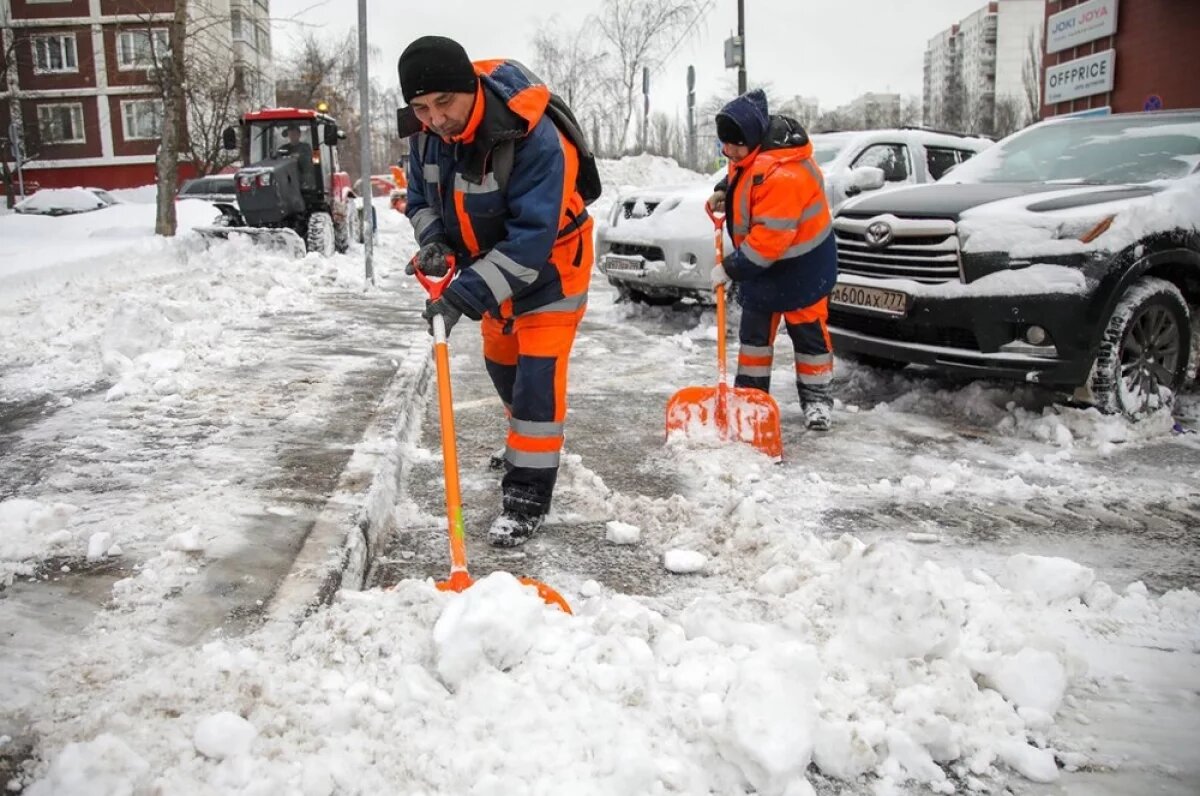    Зарплата дворника в России – тайна более строгая, чем государственная.