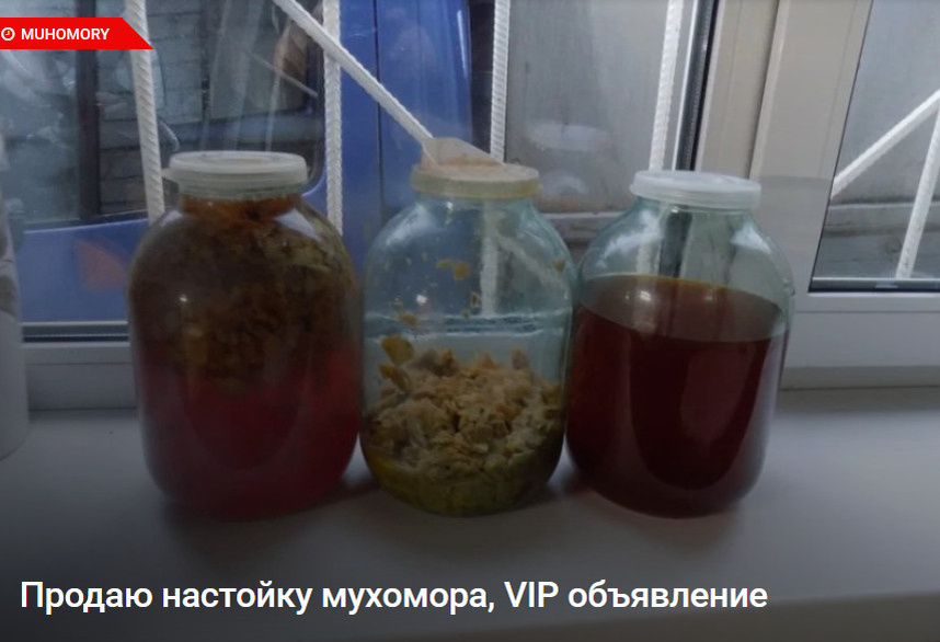 Мухоморовая настойка