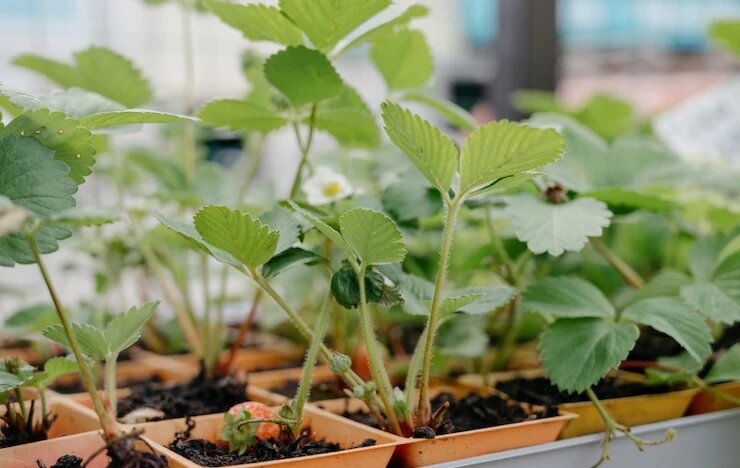 фото 123RF/bokvk