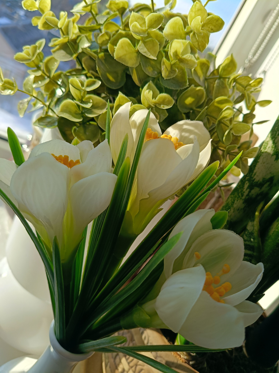 Весна! Скоро!