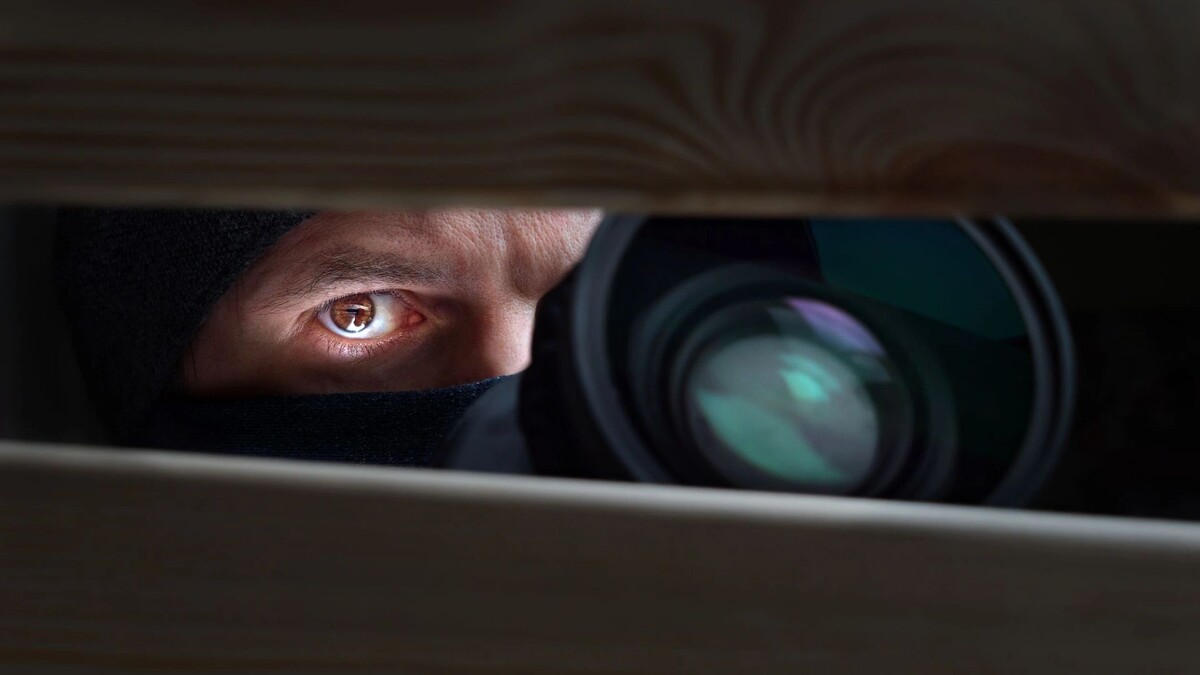    Фото: Oleksii Synelnykov / Shutterstock / Fotodom