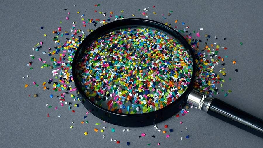    Фото: Global Look Press/IMAGO/Sascha Steinach