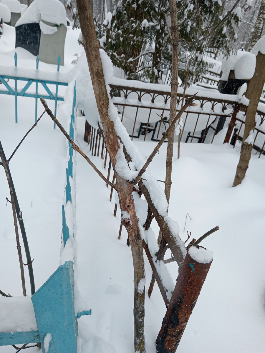 Кузьминское кладбище 