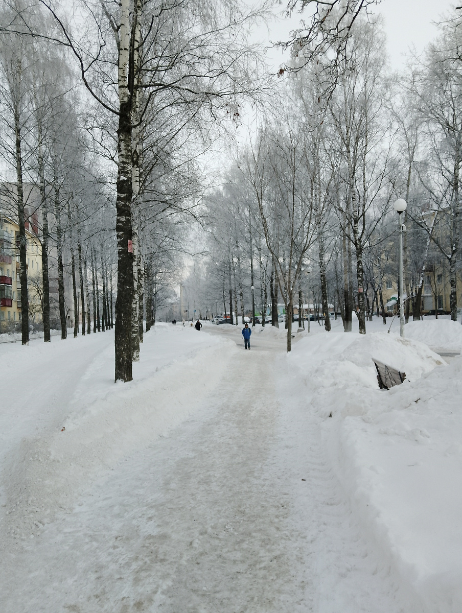 Утренняя заиндивелая красота) Фото автора 