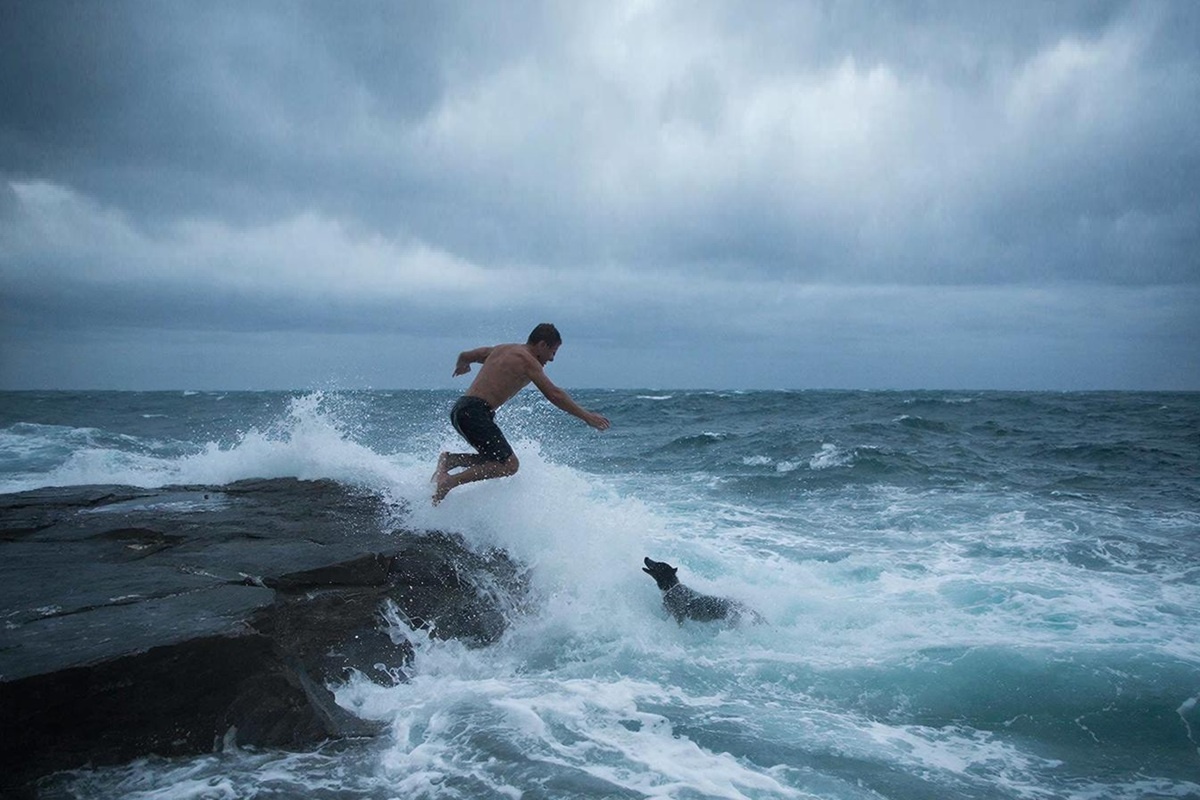    Фото: коллаж RuNews24.ru