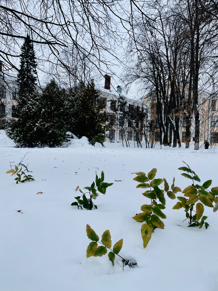 Грех — это потеря внутреннего компаса. Утрата контакта со своей природой 