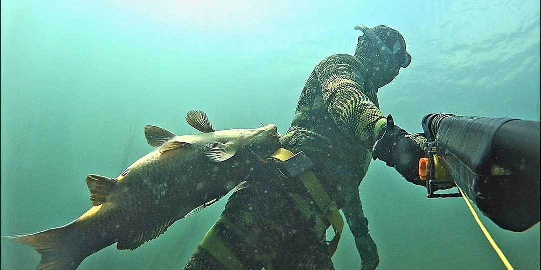 Что запрещено на подводной охоте. Все запреты любительского рыболовства. Часть IV