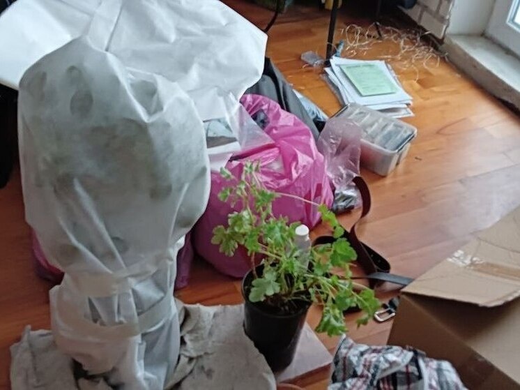     При минусовой температуре критически важно сократить пребывание растения на открытом воздухе до секунд. Фото: Татьяна Кучумова