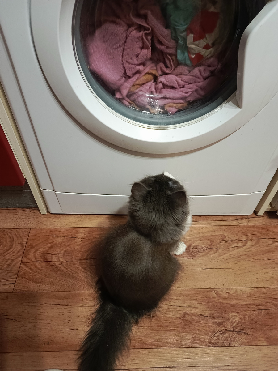 Фото автора.