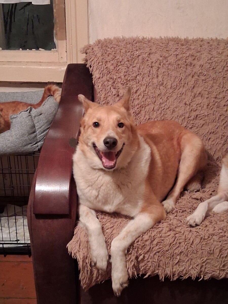 Вольт улыбчивый парень ))