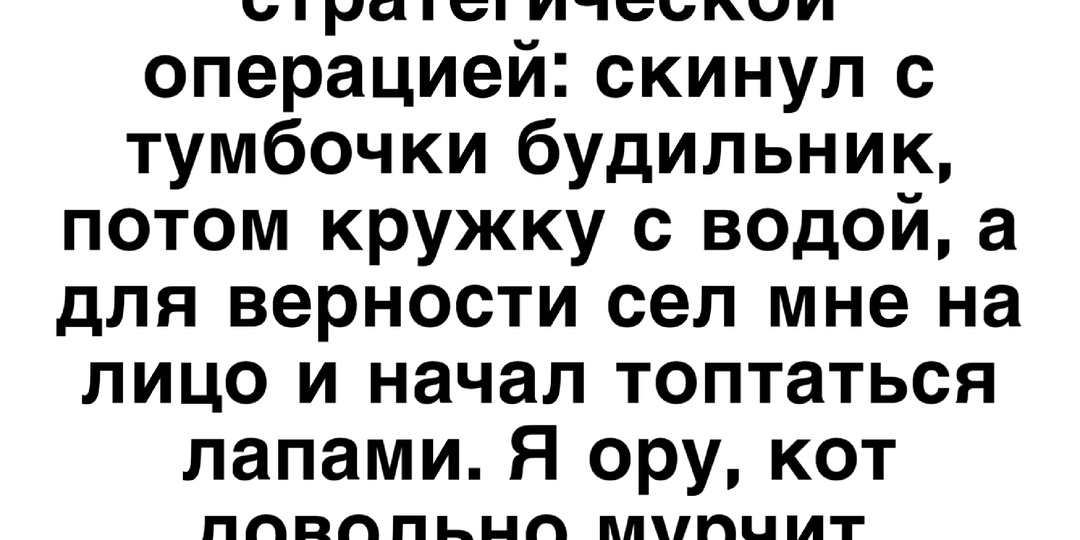 20 смешных историй из жизни людей