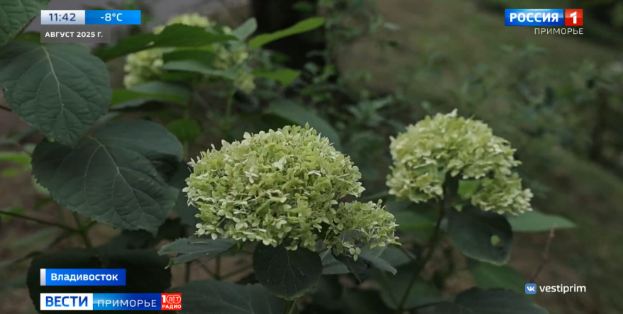    Источник фото: