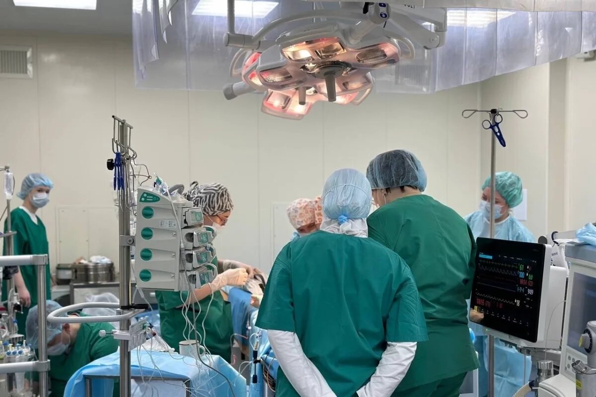    Новую технологию протезирования сердца внедрили в Нижнем Новгороде