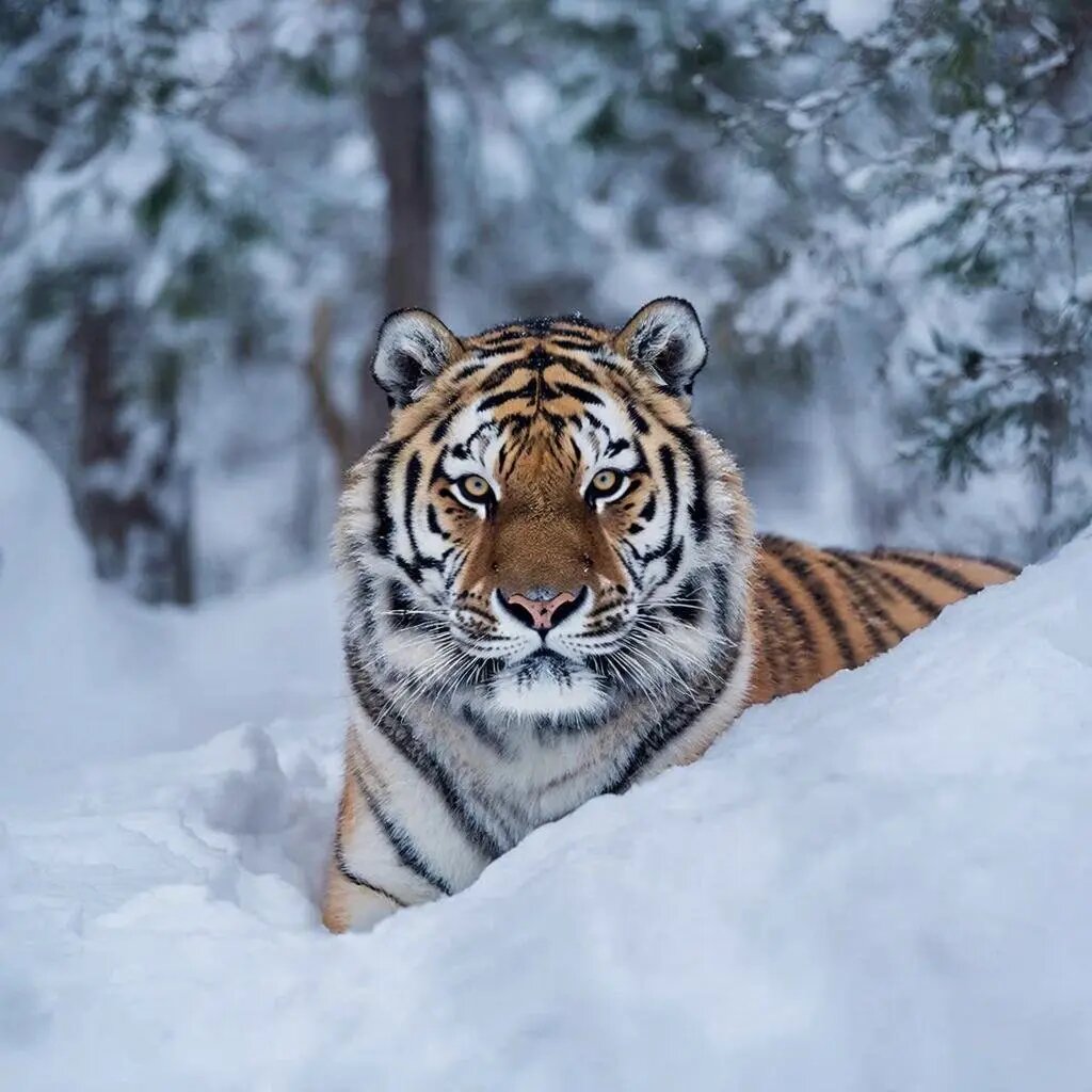    Фото: primamedia.ru Варвара Орлова