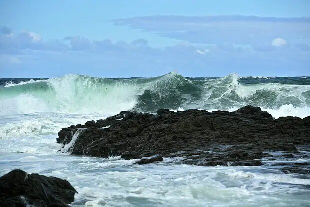    Фото: lenta.ru Сергей Гуляев