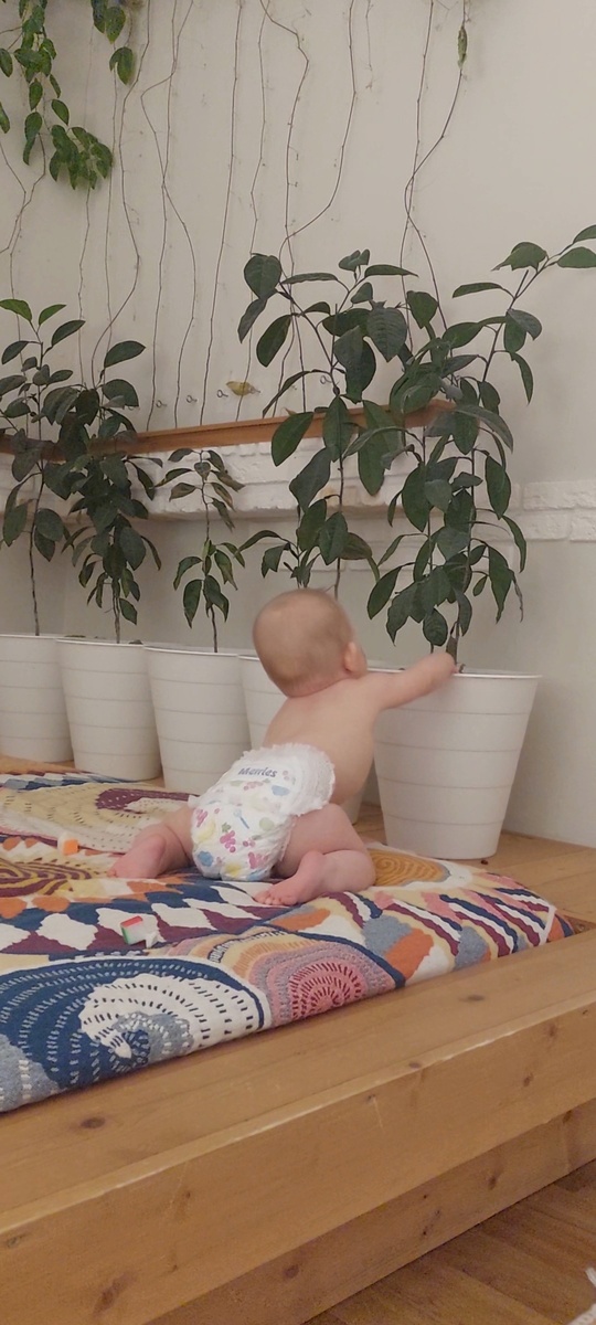 Стоит отвернуться на секундочку, как эта хулиганка уже в земле копается))). Скорее бы тепло, будем выпускать Кракена-Катякена на пляже, пусть ухряпывается 😁