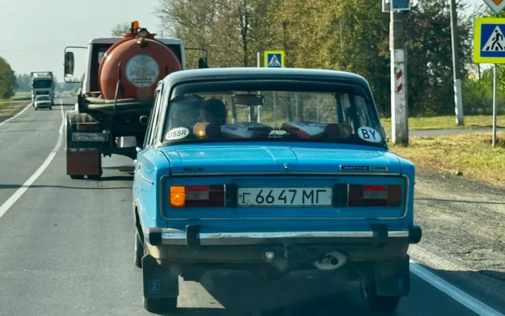    Фото: "Брянские новости"