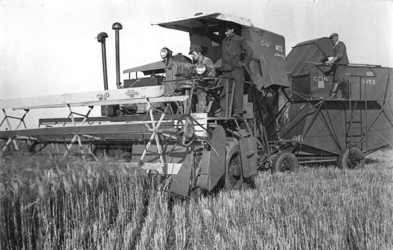 Фото взято из открытых источников Яндекс 