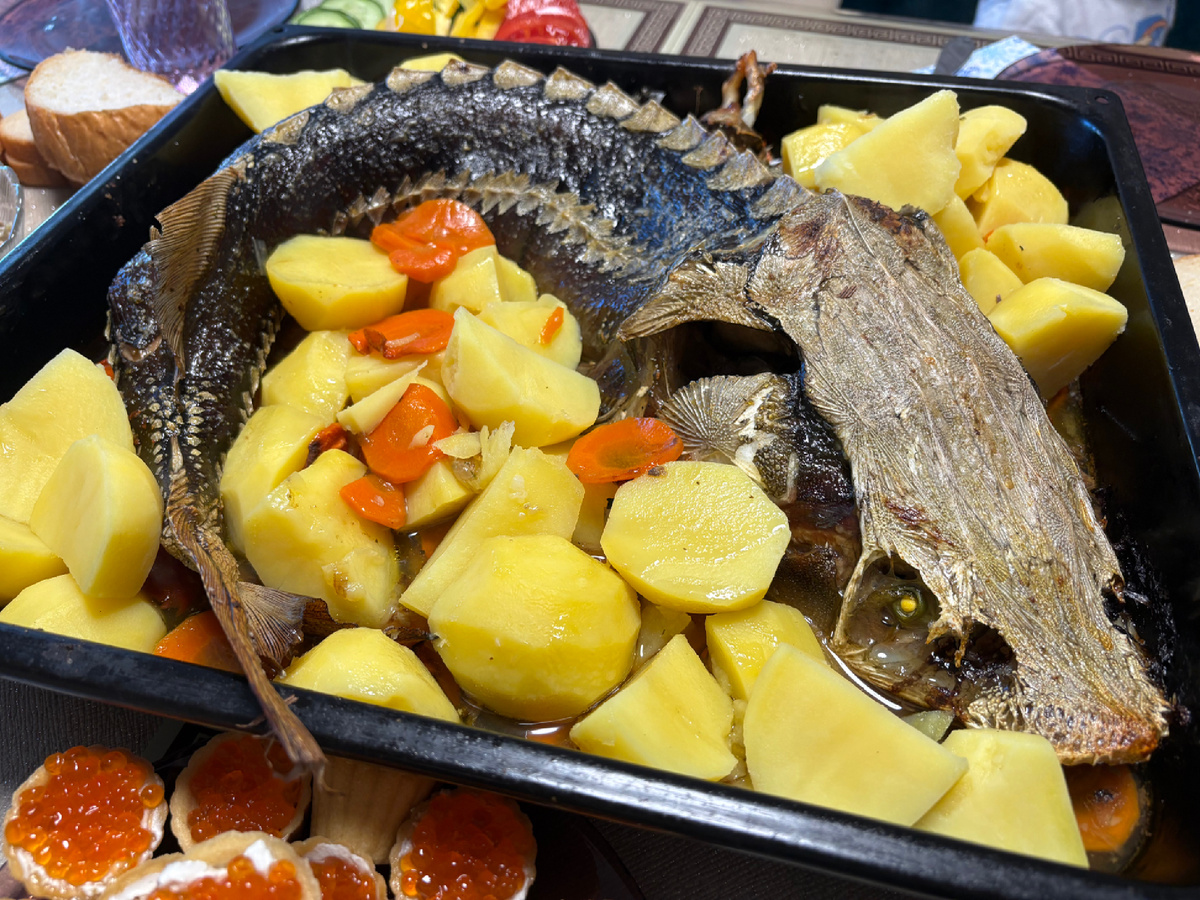 Царский осетр