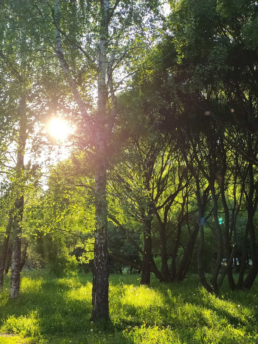 Жду весну, никто не запретит 